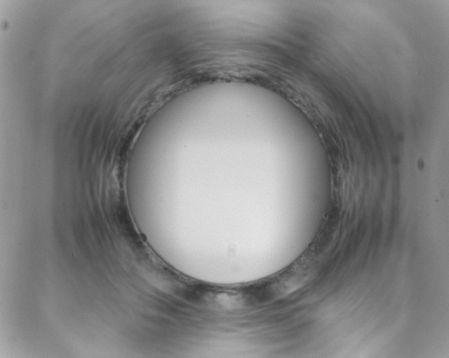 X0000089460506200706151109