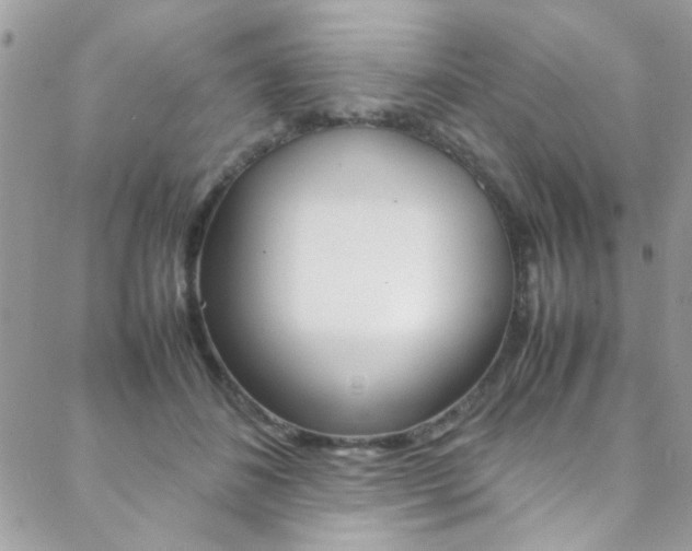 X0000089460508200706151109
