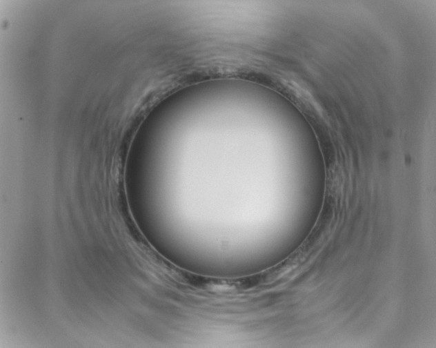 X0000089460509200706151109