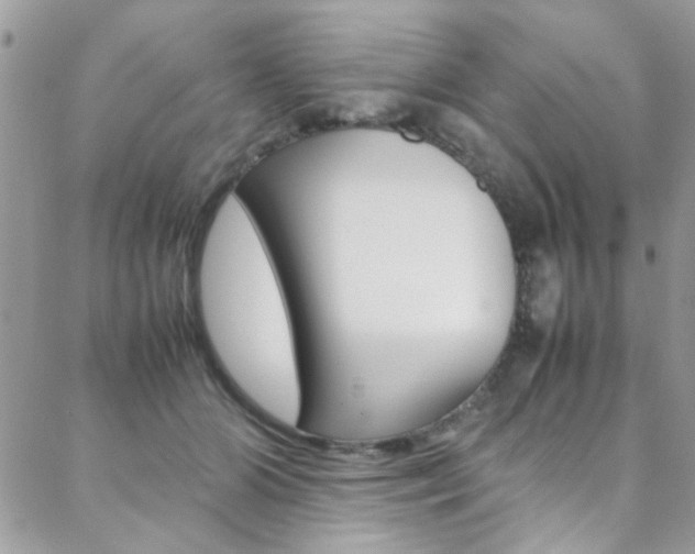 X0000089460510200706151109