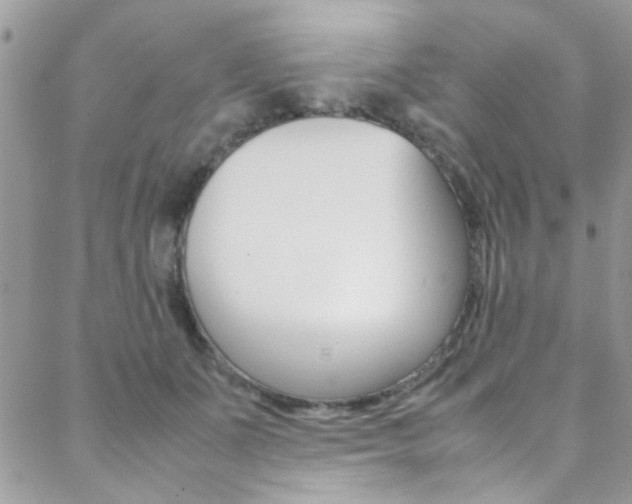 X0000089460511200706151109