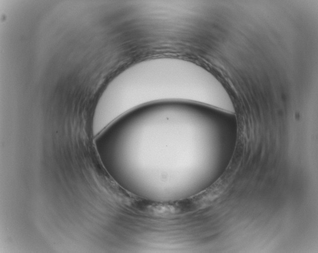 X0000089460512200706151109