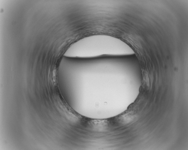 X0000089460526200706151109