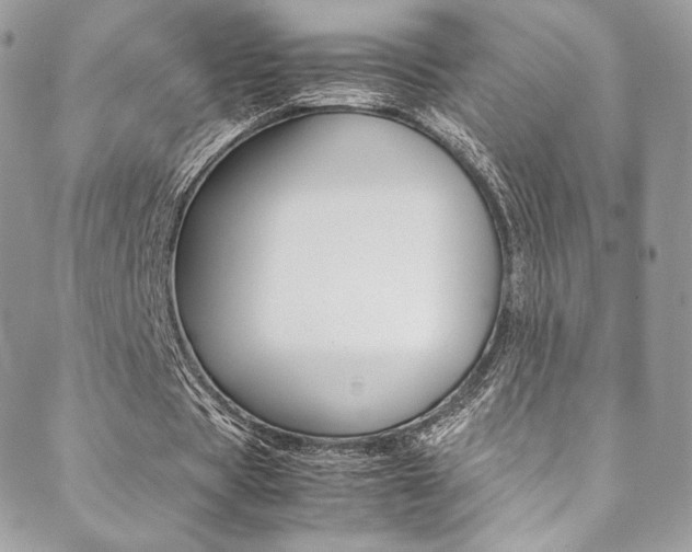 X0000089460529200706151108