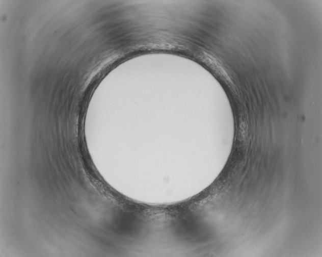 X0000089460534200706151108