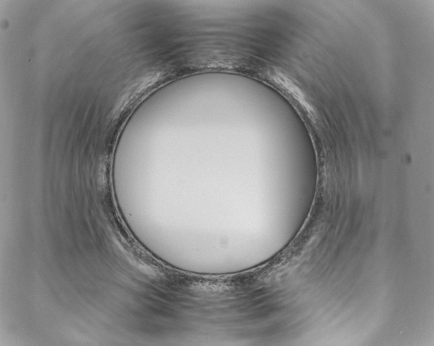 X0000089460537200706151108