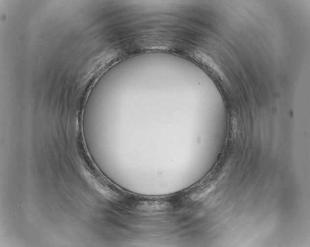 X0000089460541200706151108