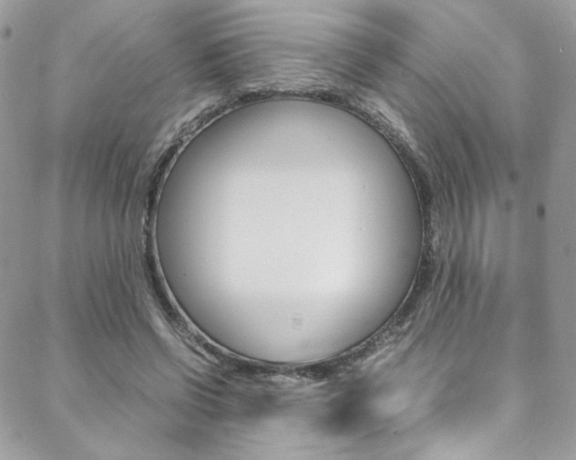 X0000089460542200706151108