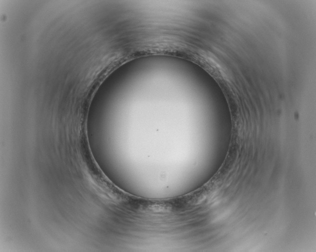 X0000089460546200706151108