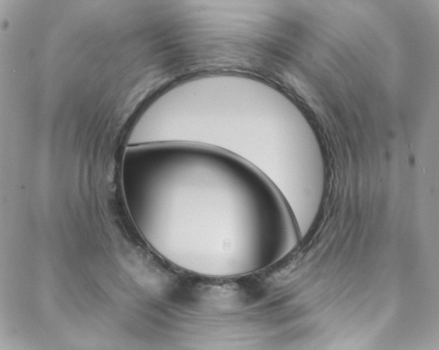 X0000089460548200706151108