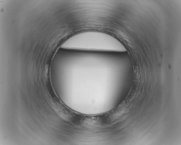 X0000089460550200706151108
