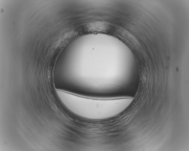 X0000089460551200706151108