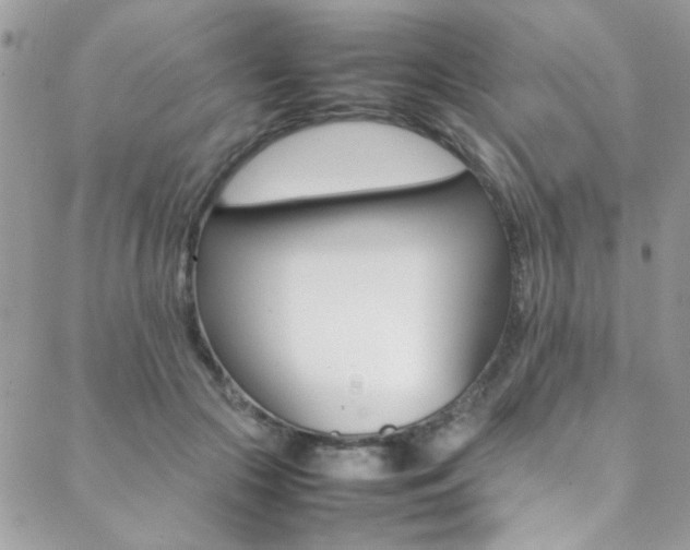 X0000089460553200706151108