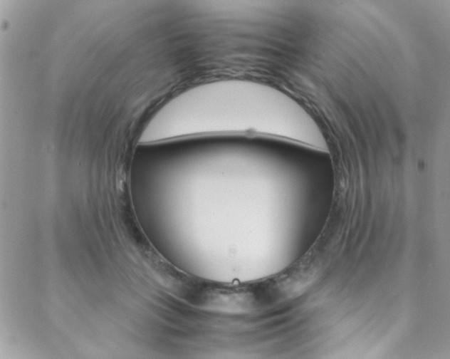 X0000089460555200706151108