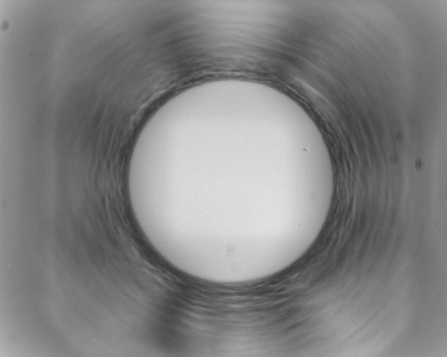 X0000089460556200706151108