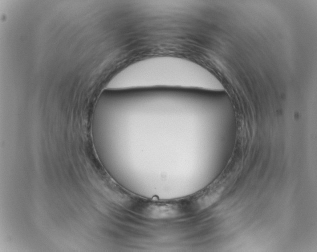 X0000089460557200706151108