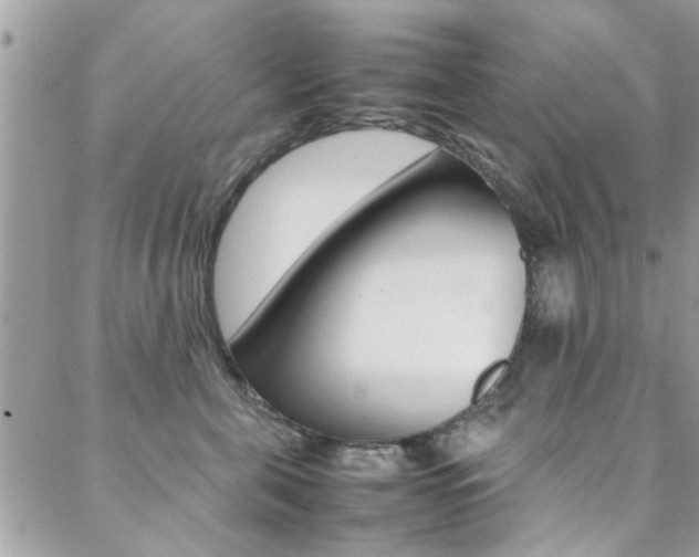X0000089460571200706151109