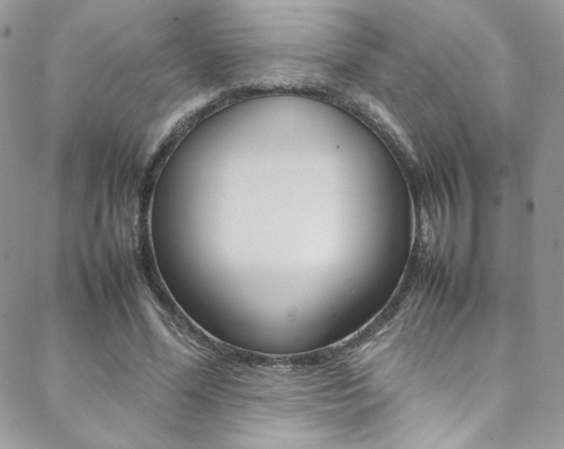 X0000089460588200706151108
