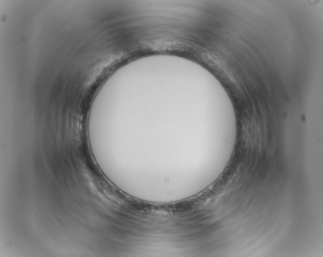 X0000089460592200706151108