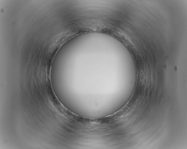 X0000089460594200706151108