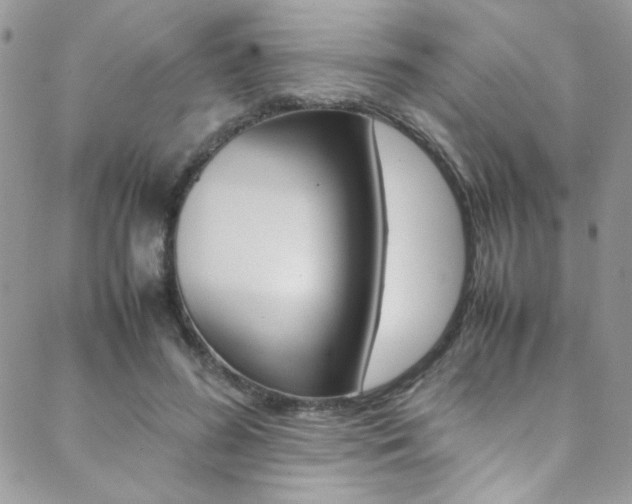 X0000089460596200706151108
