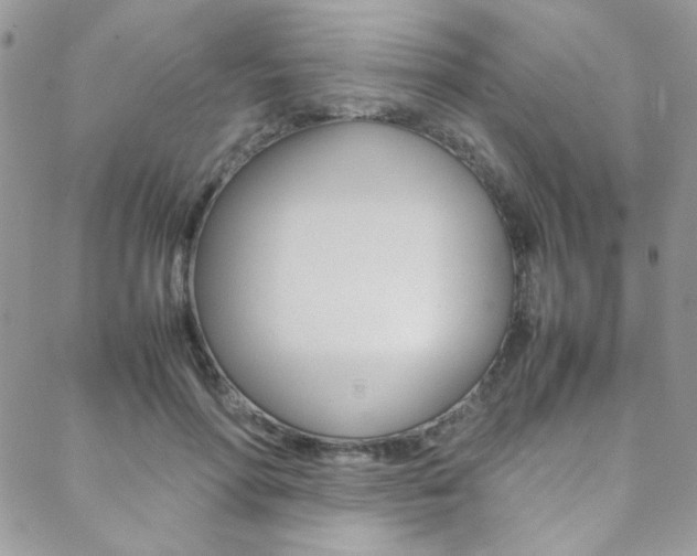 X0000089460598200706151107