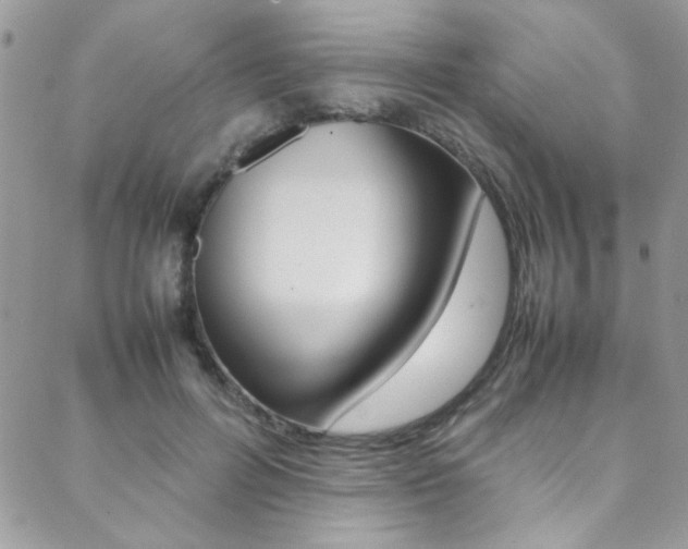 X0000089460600200706151107