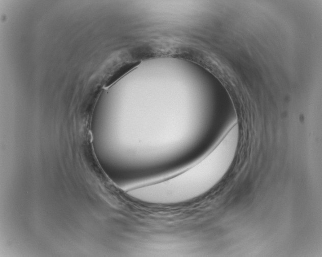 X0000089460601200706151107