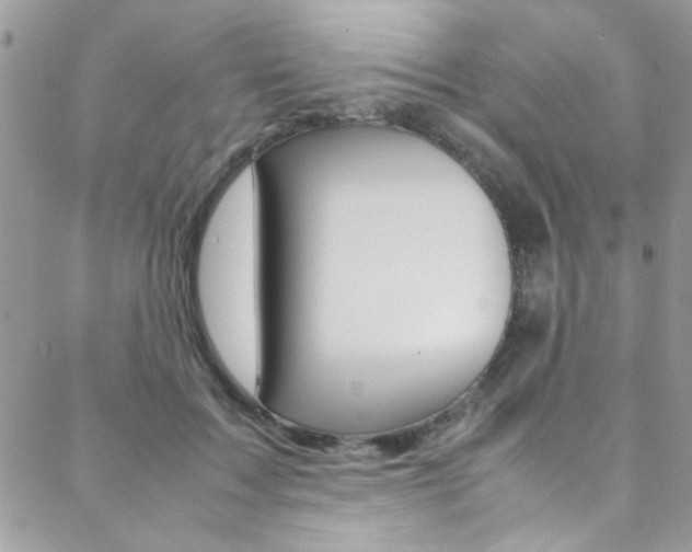 X0000089460603200706151107