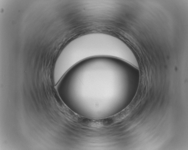 X0000089460604200706151107