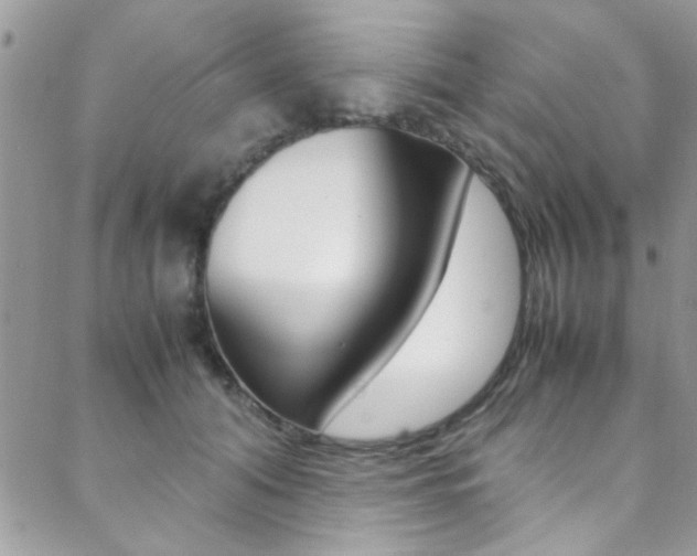 X0000089460608200706151107