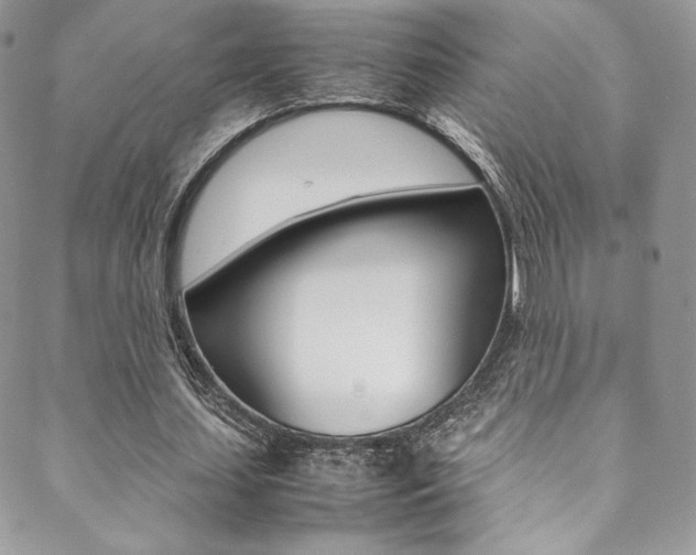 X0000089460627200706151106