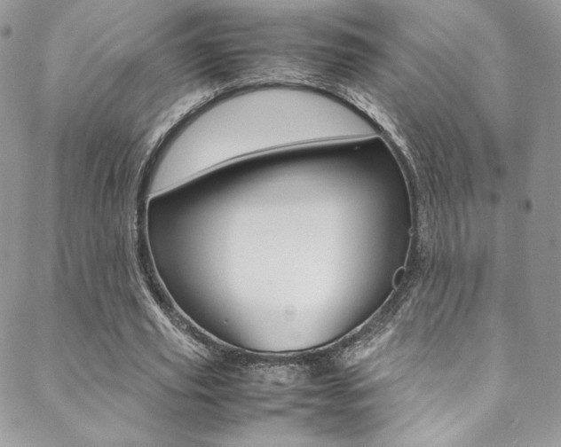 X0000089460629200706151106