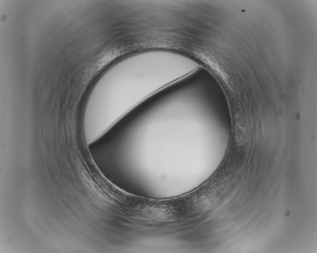 X0000089460631200706151106