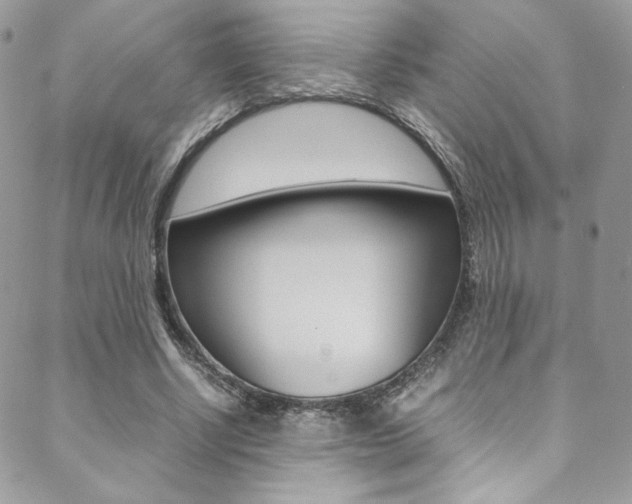 X0000089460634200706151106