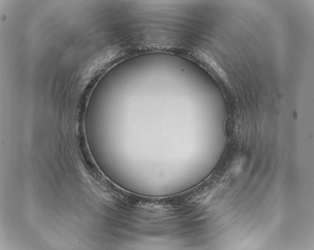 X0000089460635200706151106