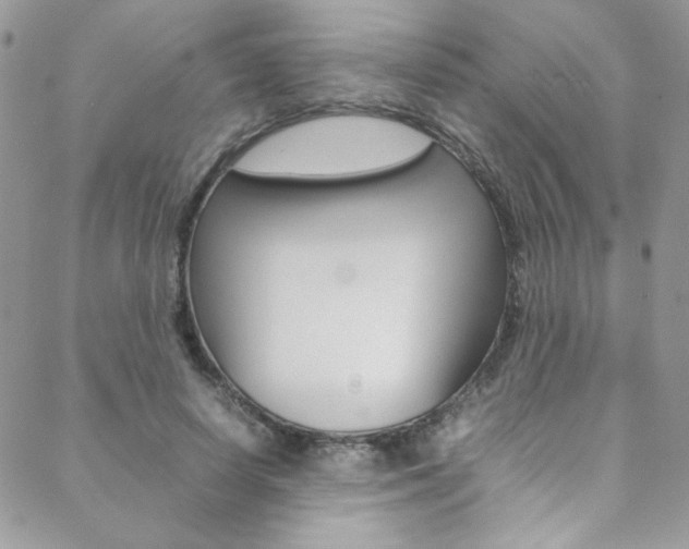 X0000089460642200706151107