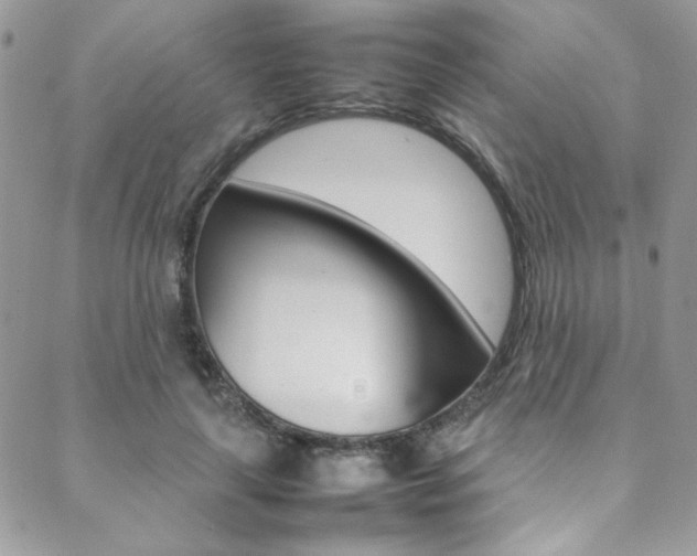 X0000089460643200706151107