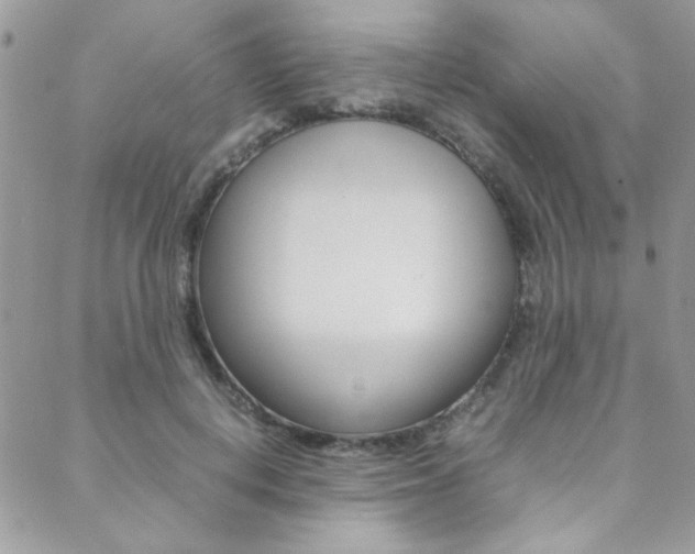 X0000089460648200706151107