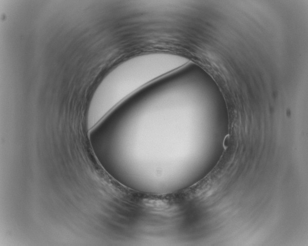 X0000089460649200706151107