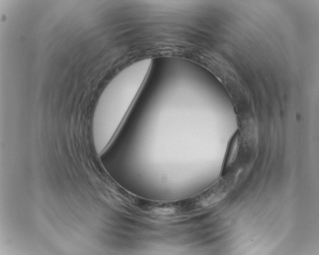 X0000089460653200706151107