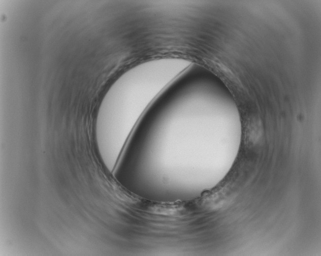X0000089460661200706151107