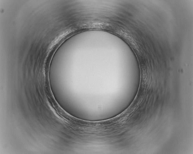 X0000089460674200706151106