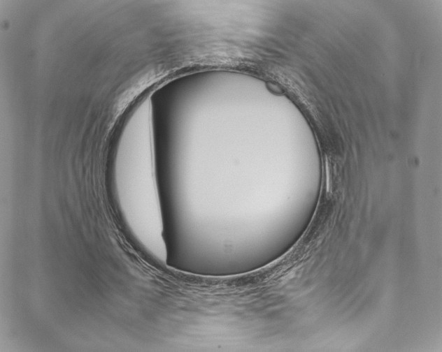 X0000089460675200706151106