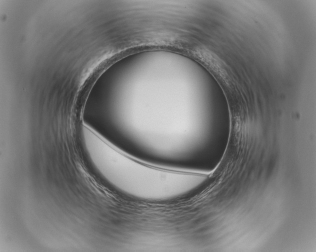 X0000089460676200706151106