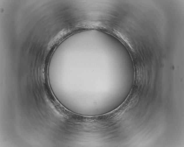 X0000089460682200706151106