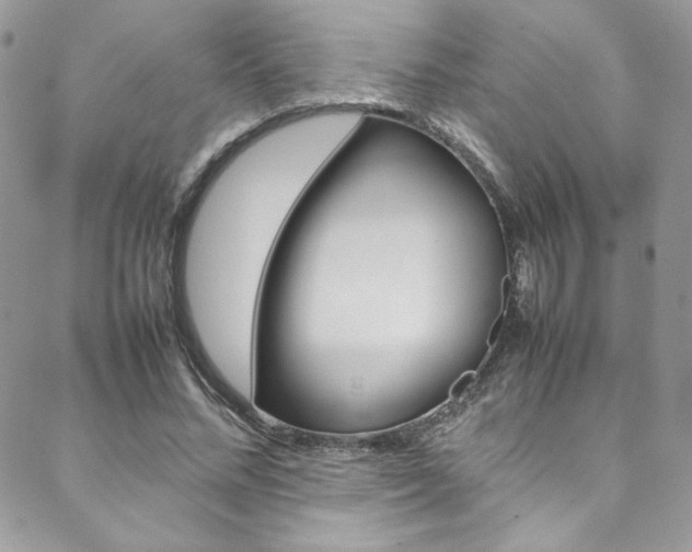 X0000089460684200706151106