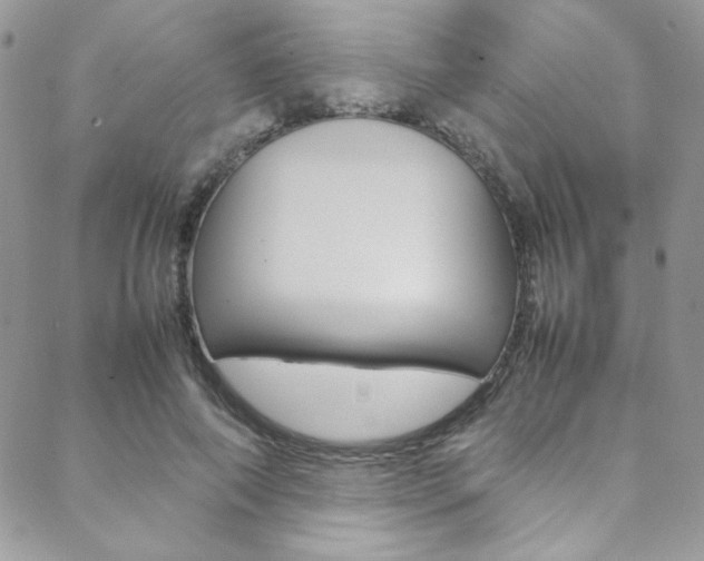 X0000089460690200706151106