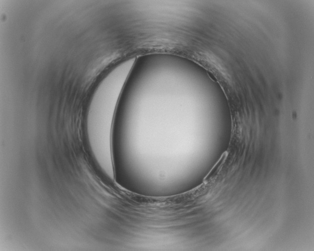 X0000089460692200706151106