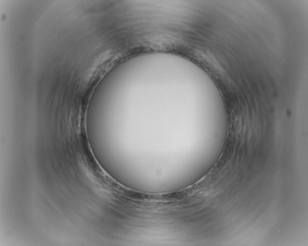 X0000089460694200706151106